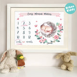 Ultra Soft and Cuddly Floral Baby Milestone Blanket for Girls